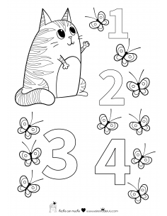 the cat and THE NUMBERS